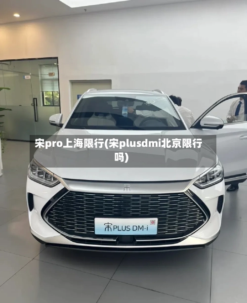 宋pro上海限行(宋plusdmi北京限行吗)