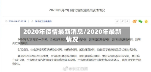 2020年疫情最新消息/2020年最新情况-第3张图片