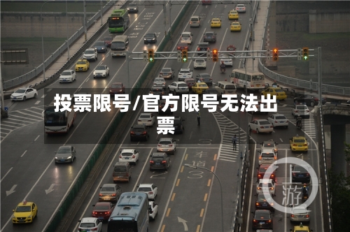 投票限号/官方限号无法出票-第3张图片