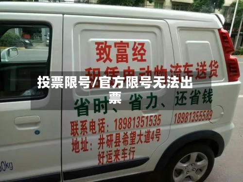 投票限号/官方限号无法出票-第2张图片