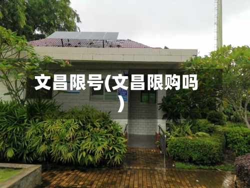 文昌限号(文昌限购吗)-第2张图片