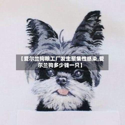 【爱尔兰狗粮工厂发生聚集性感染,爱尔兰狗多少钱一只】