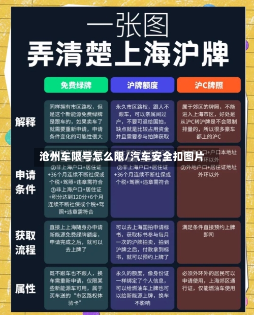 沧州车限号怎么限/汽车安全扣图片