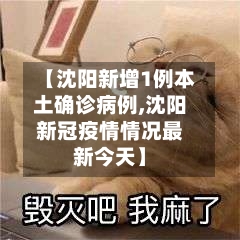 【沈阳新增1例本土确诊病例,沈阳新冠疫情情况最新今天】