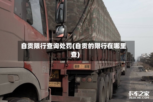 自贡限行查询处罚(自贡的限行在哪里查)
