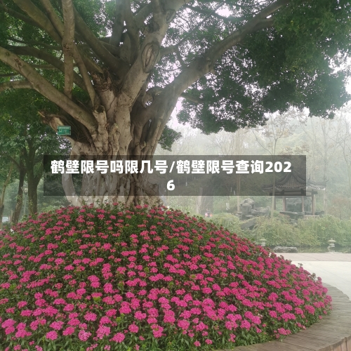 鹤壁限号吗限几号/鹤壁限号查询2026