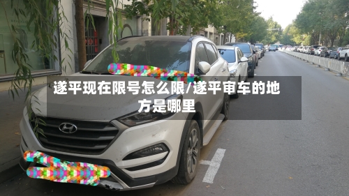 遂平现在限号怎么限/遂平审车的地方是哪里-第2张图片