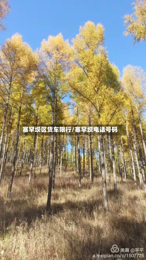 塞罕坝区货车限行/塞罕坝电话号码-第3张图片