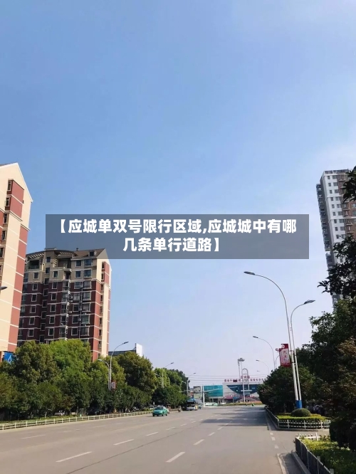 【应城单双号限行区域,应城城中有哪几条单行道路】-第2张图片