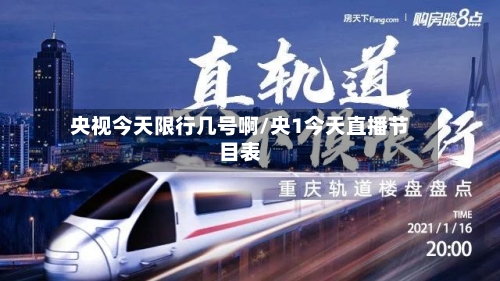 央视今天限行几号啊/央1今天直播节目表-第3张图片