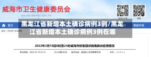 黑龙江省新增本土确诊病例3例/黑龙江省新增本土确诊病例3例在哪