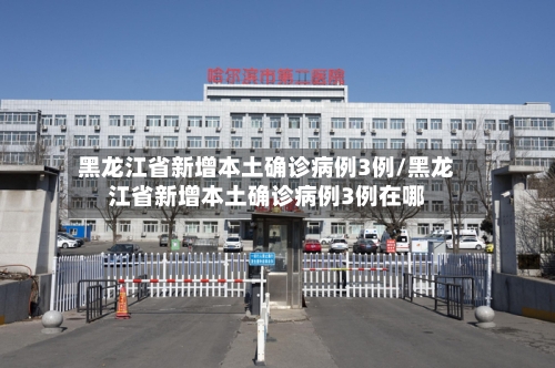 黑龙江省新增本土确诊病例3例/黑龙江省新增本土确诊病例3例在哪-第2张图片