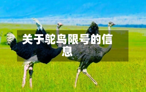 关于鸵鸟限号的信息