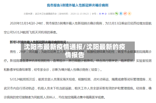沈阳市最新疫情通报/沈阳最新的疫情报告-第3张图片