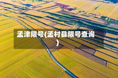 孟津限号(孟村县限号查询)