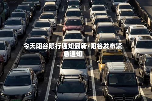 今天阳谷限行通知最新/阳谷发布紧急通知-第2张图片