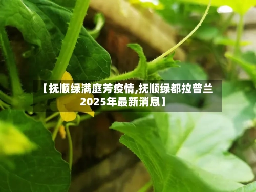 【抚顺绿满庭芳疫情,抚顺绿都拉普兰2025年最新消息】
