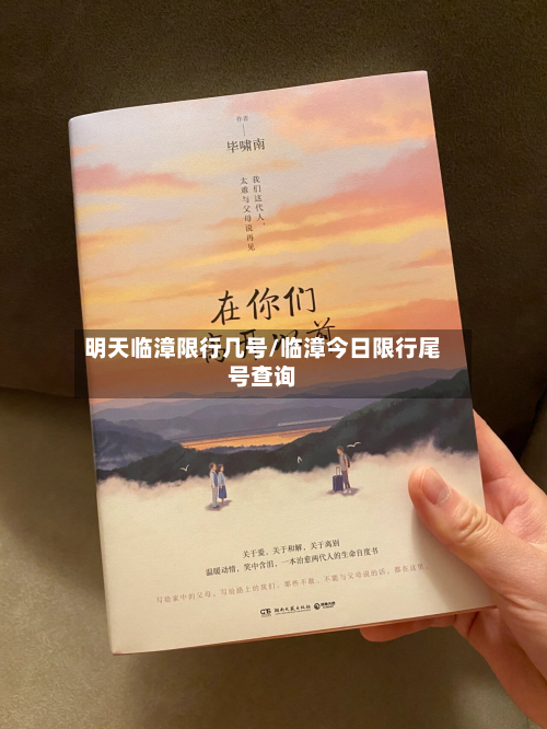 明天临漳限行几号/临漳今日限行尾号查询-第2张图片