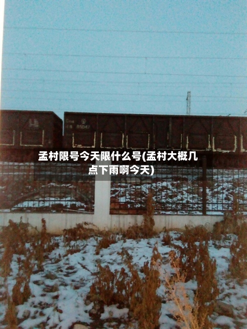 孟村限号今天限什么号(孟村大概几点下雨啊今天)-第2张图片