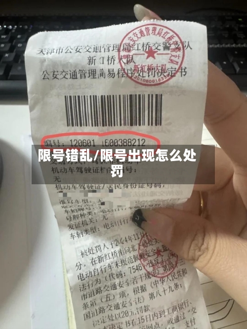 限号错乱/限号出现怎么处罚