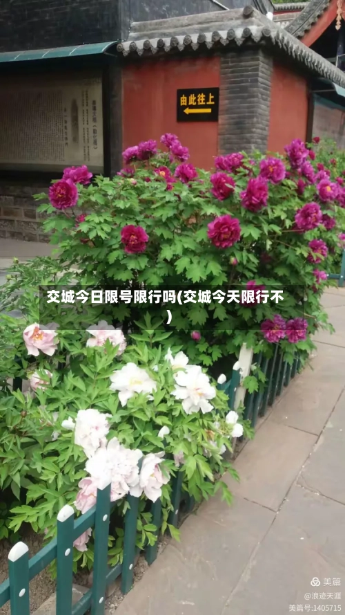 交城今日限号限行吗(交城今天限行不)-第3张图片