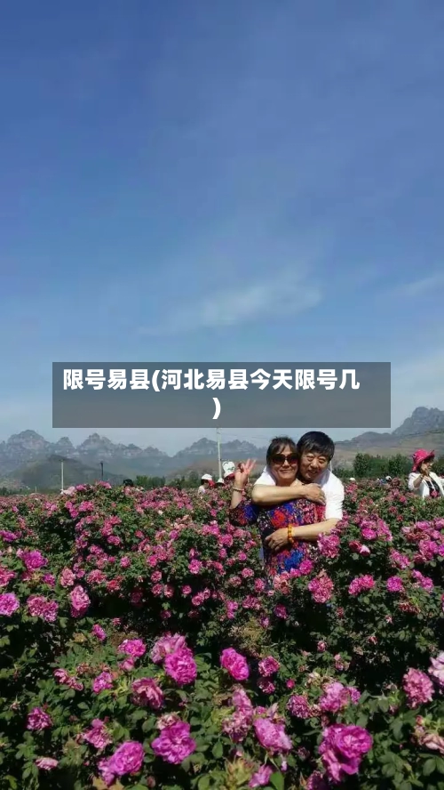 限号易县(河北易县今天限号几)-第3张图片
