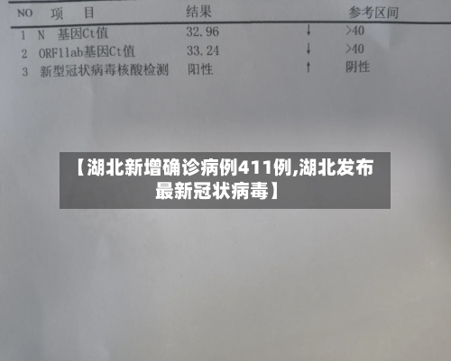 【湖北新增确诊病例411例,湖北发布最新冠状病毒】-第2张图片