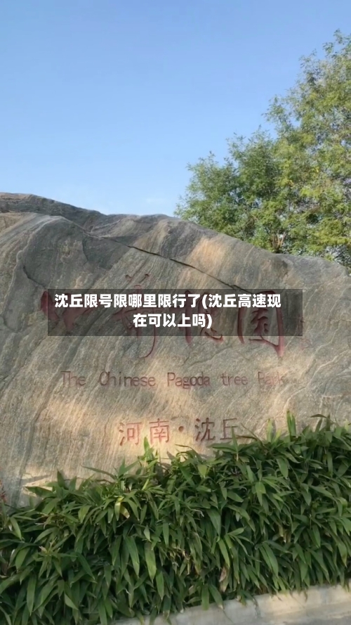 沈丘限号限哪里限行了(沈丘高速现在可以上吗)-第1张图片