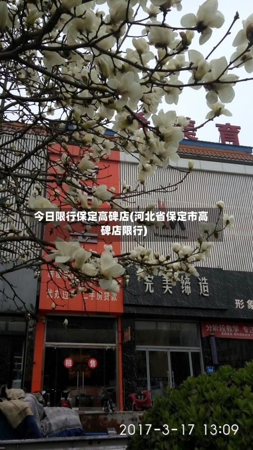 今日限行保定高碑店(河北省保定市高碑店限行)-第3张图片