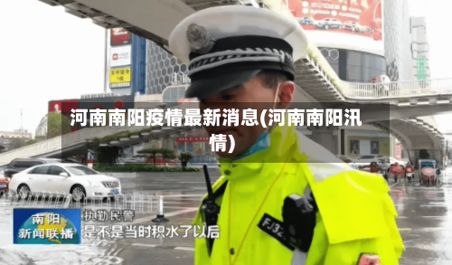 河南南阳疫情最新消息(河南南阳汛情)-第2张图片