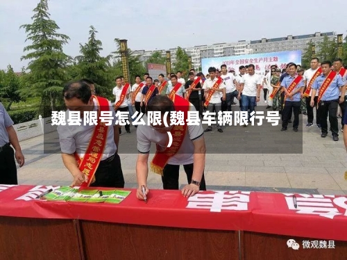 魏县限号怎么限(魏县车辆限行号)