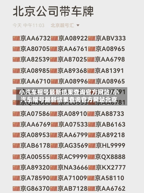 小汽车摇号最新结果查询官方网站/小汽车摇号最新结果查询官方网站北京-第3张图片