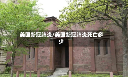 美国新冠肺炎/美国新冠肺炎死亡多少-第2张图片