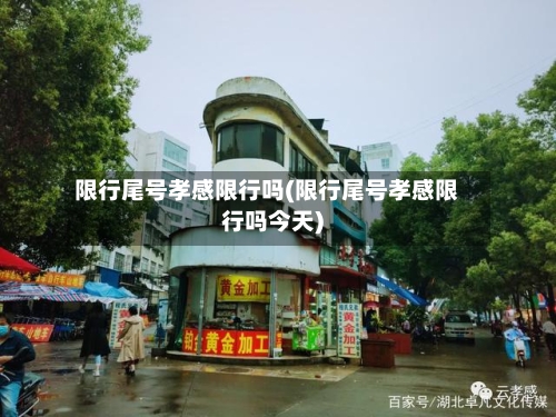 限行尾号孝感限行吗(限行尾号孝感限行吗今天)-第2张图片