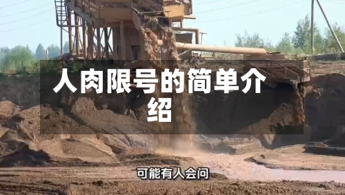 人肉限号的简单介绍