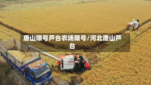 唐山限号芦台农场限号/河北唐山芦台