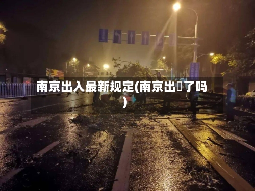 南京出入最新规定(南京出挴了吗)-第2张图片