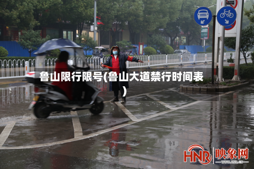 鲁山限行限号(鲁山大道禁行时间表)-第3张图片