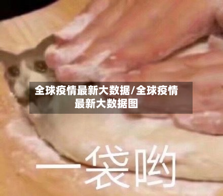 全球疫情最新大数据/全球疫情最新大数据图