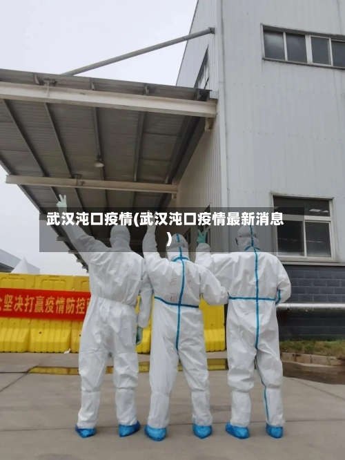 武汉沌口疫情(武汉沌口疫情最新消息)-第3张图片
