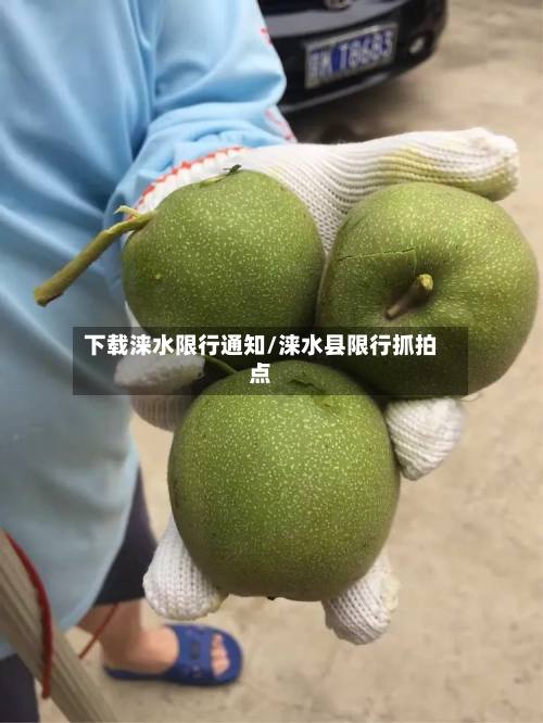 下载涞水限行通知/涞水县限行抓拍点