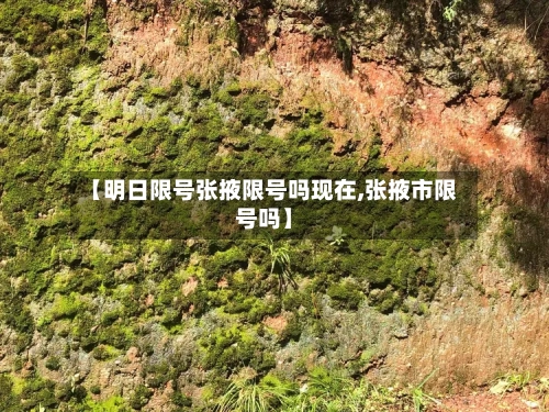 【明日限号张掖限号吗现在,张掖市限号吗】