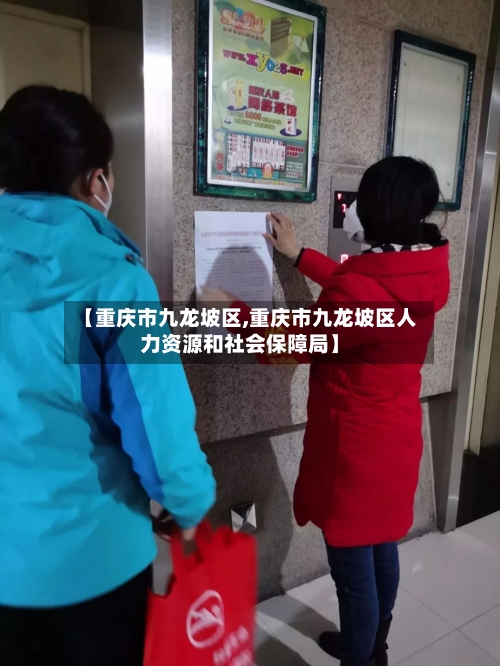 【重庆市九龙坡区,重庆市九龙坡区人力资源和社会保障局】-第2张图片