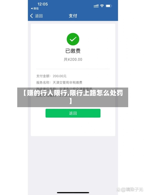【赚的行人限行,限行上路怎么处罚】-第3张图片