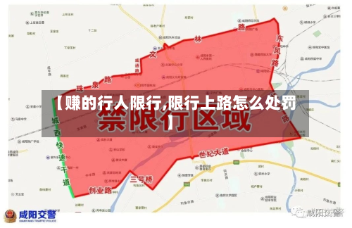 【赚的行人限行,限行上路怎么处罚】