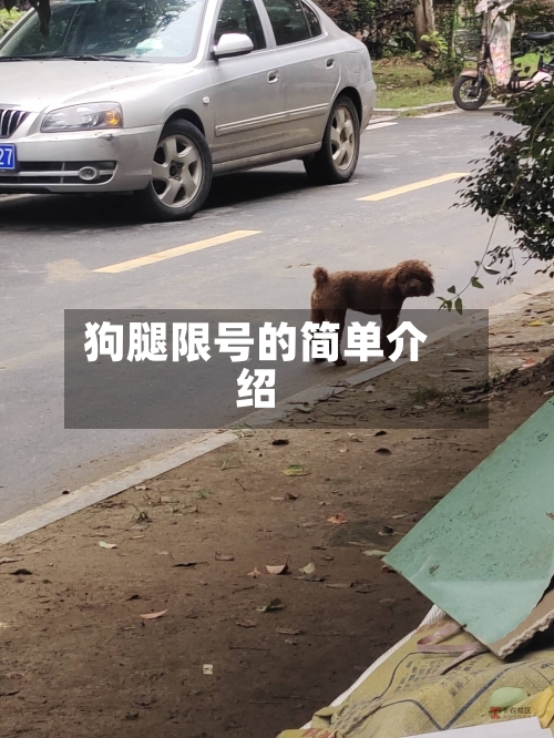 狗腿限号的简单介绍