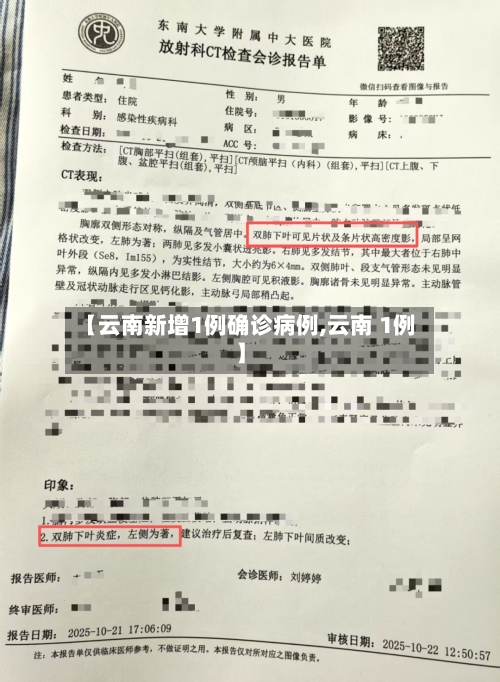 【云南新增1例确诊病例,云南 1例】