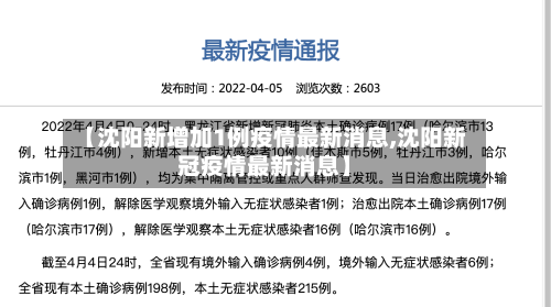 【沈阳新增加1例疫情最新消息,沈阳新冠疫情最新消息】-第2张图片
