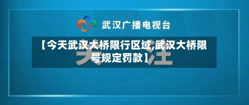 【今天武汉大桥限行区域,武汉大桥限号规定罚款】-第3张图片