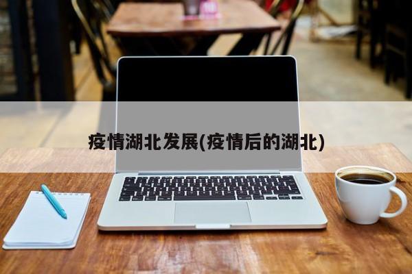 疫情湖北发展(疫情后的湖北)
